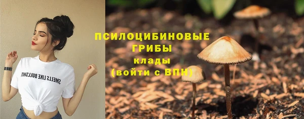 ГАЛЛЮЦИНОГЕННЫЕ ГРИБЫ Абдулино