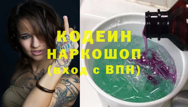 гашик Кулебаки